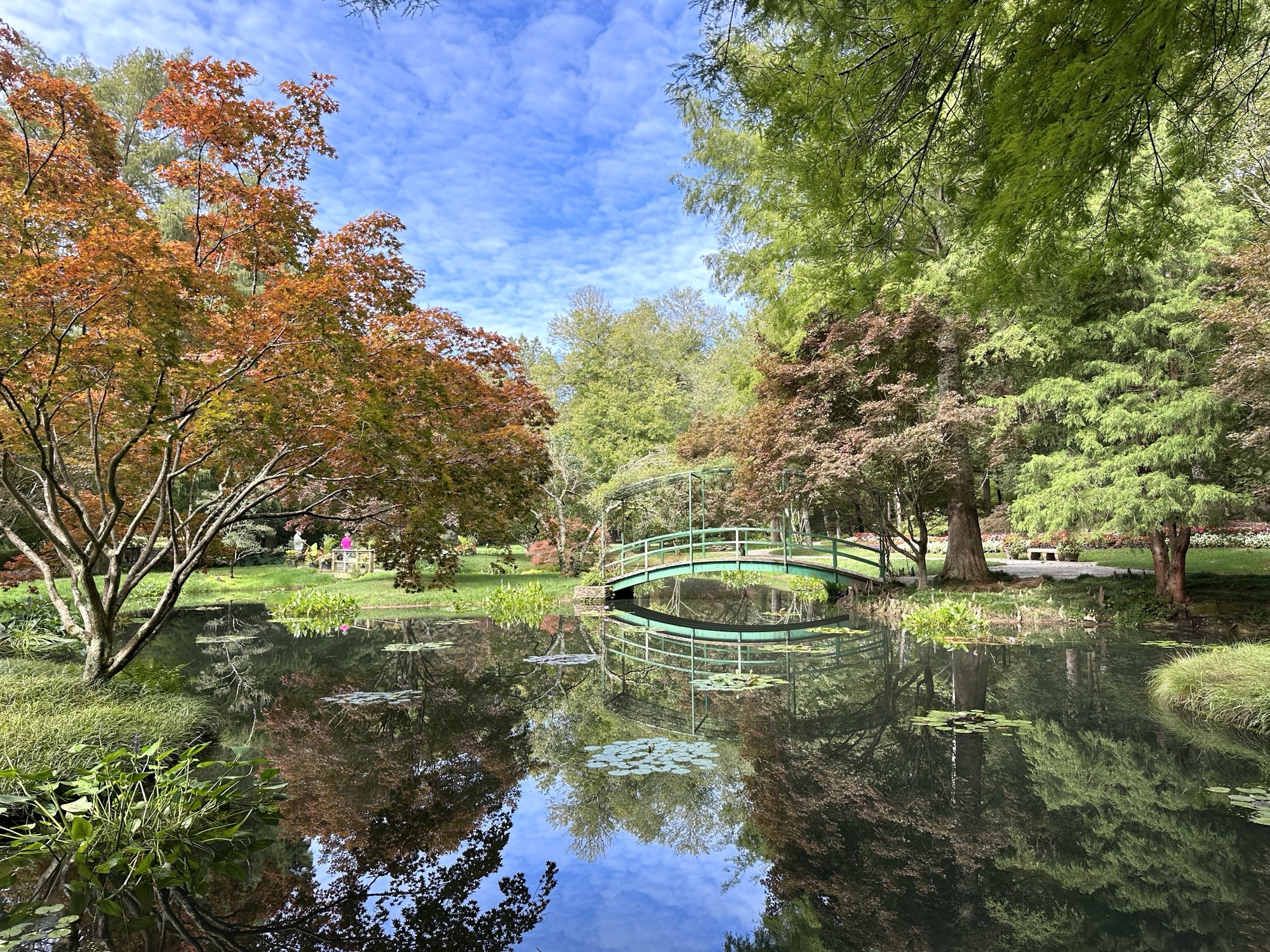 North Georgia – Growing With Leala